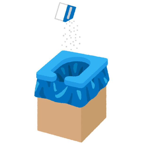 Best Local porta potty services  in Pamplico, SC